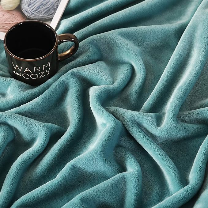 TASTHROW Large Flannel Fleece Throw Blanket, 60×80 Inch - Image 2