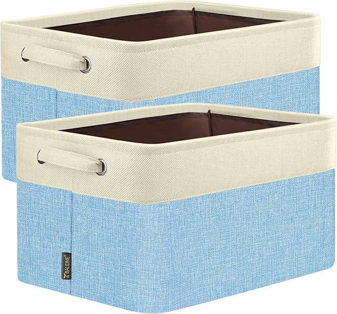 BALEINE 2 Pack Fabric Closet Storage Bins by BALEINE