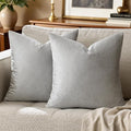 GIGIZAZA Velvet Silver Grey Pillow Covers 20x20 Set of 2 Square Throw Pillow by GIGIZAZAFocusingonhomedecoration