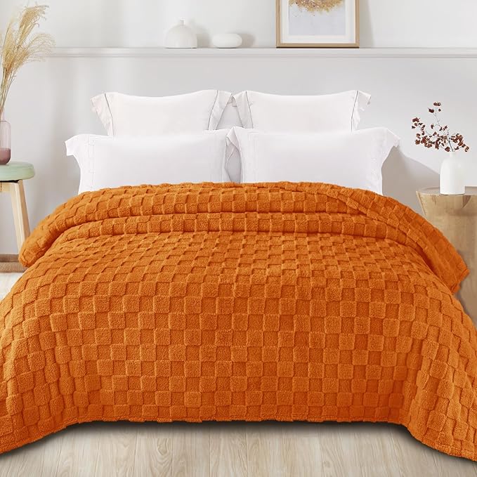 Exclusivo Mezcla Twin Size Flannel Fleece Blanket, Super Soft and Warm - Image 3