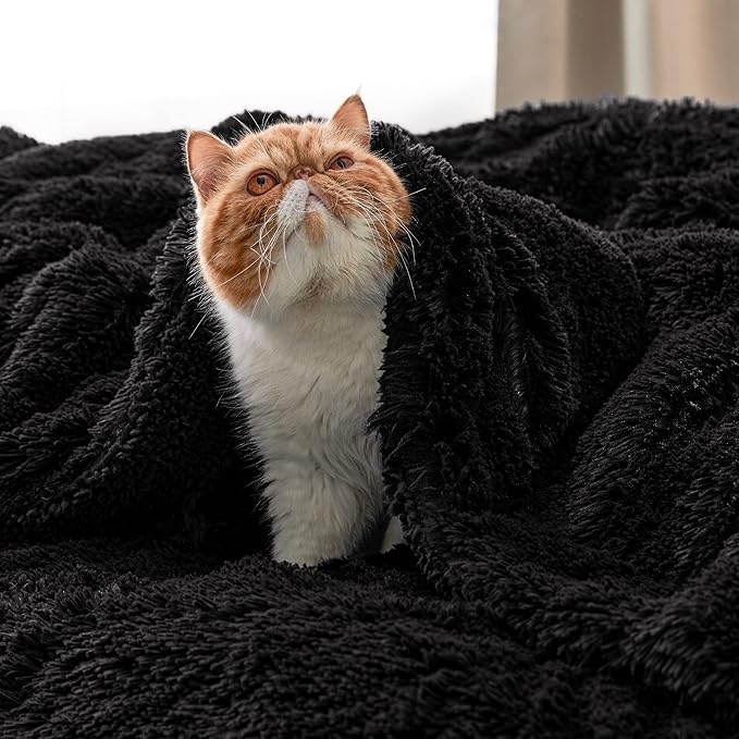 Bedsure GentleSoft Fuzzy Sherpa Faux Fur Twin Blanket Black Cozy Gifts - Image 8