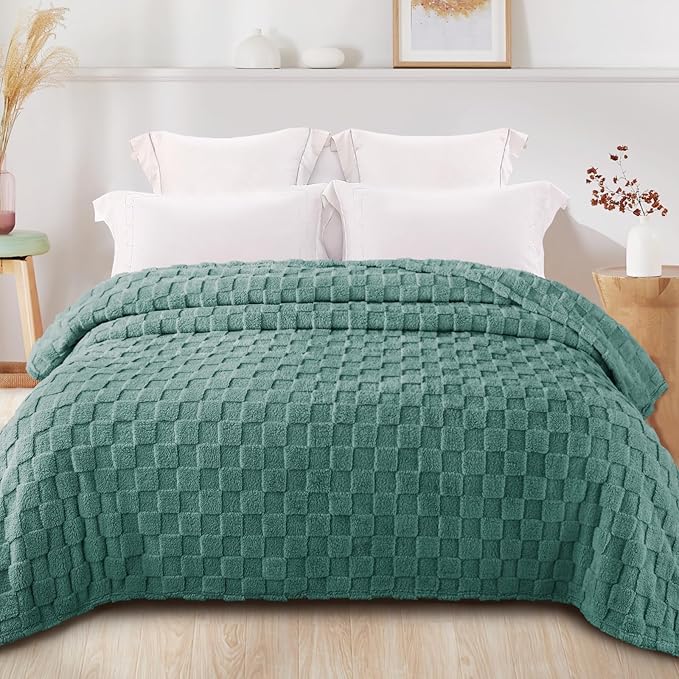 Exclusivo Mezcla Twin Size Flannel Fleece Blanket, Super Soft and Warm - Image 3