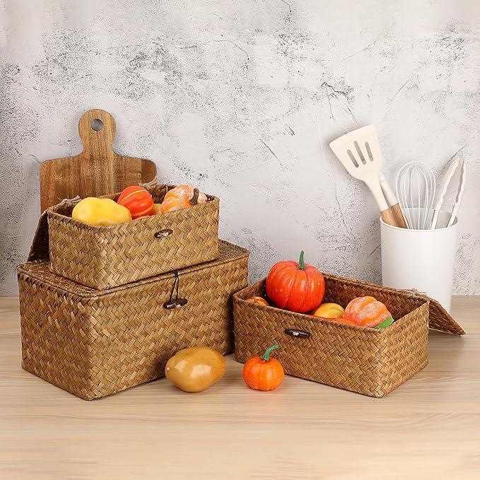 Sumnacon Wicker Basket with Lid Rectangle Woven Baskets - Image 5