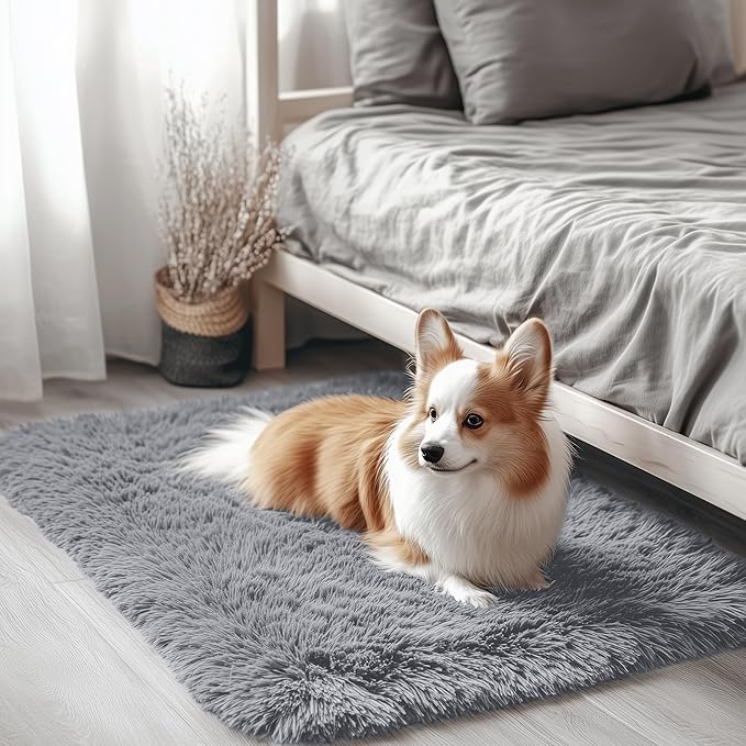 OLANLY 2x3 Machine Washable Small Bedside Rug, Soft Fluffy Shaggy Entryway by OLANLY