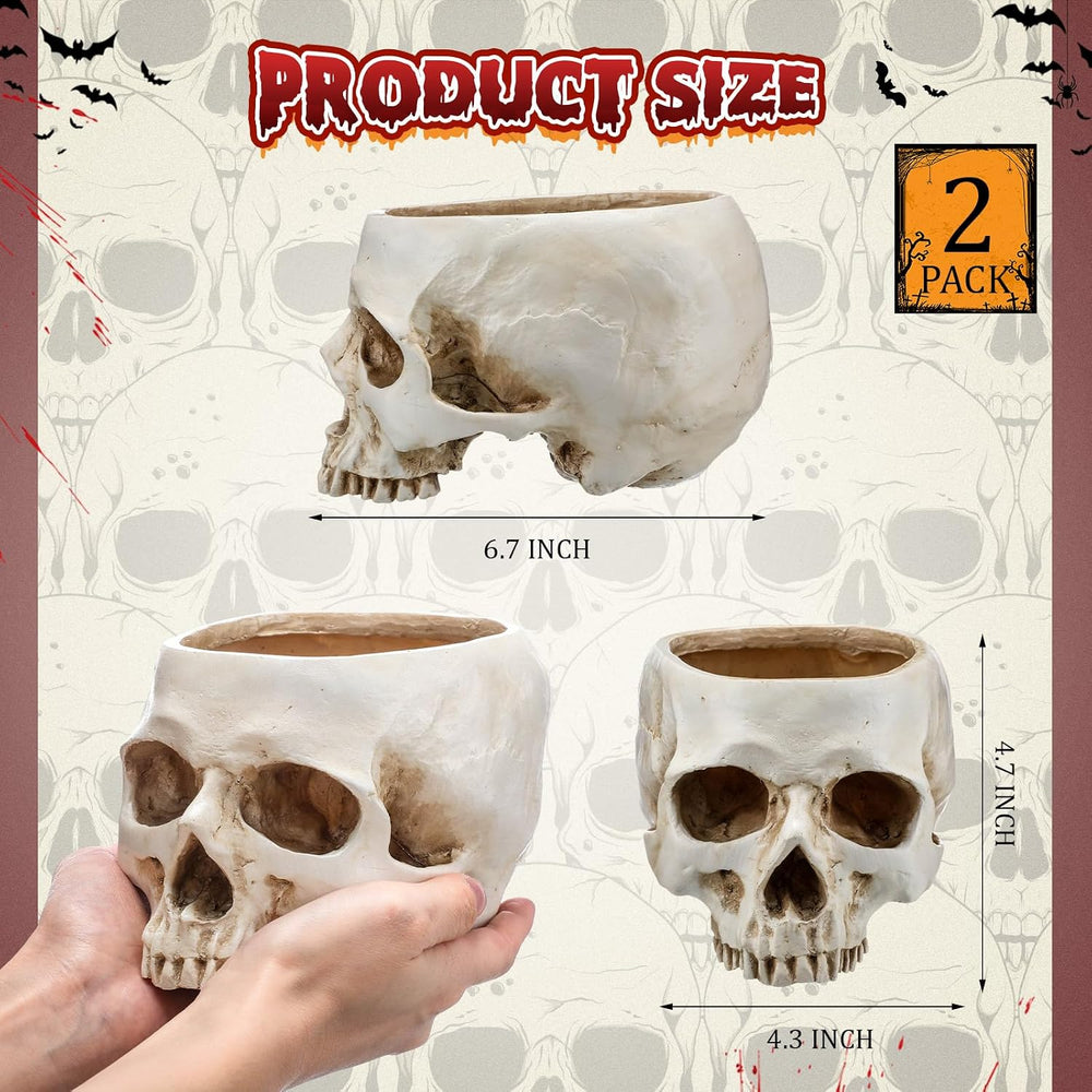 2 Pack Halloween Skull Planter, Antique White, Classic