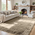 5x7 Area Rugs for Living Room: Soft Fluffy Shag Gray Camel Rugs for Bedroom by CarpetAddColortoYourLife