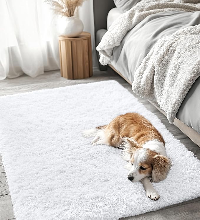 OLANLY 4x5 Machine Washable Accent Rug, Soft Fluffy Shaggy Area Rug - Image 3