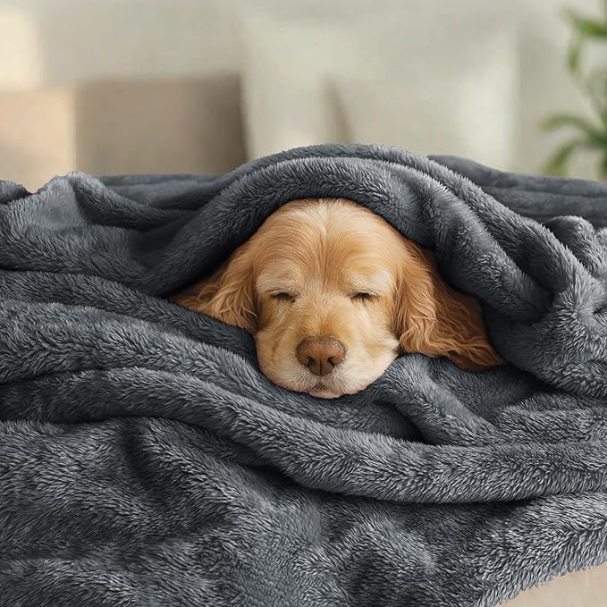 Exclusivo Mezcla Plush Fuzzy Fleece Bed Blanket Queen Size, Super Soft - Image 3