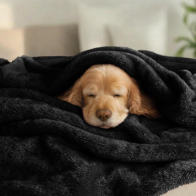 Exclusivo Mezcla Plush Fuzzy Fleece Bed Blanket Queen Size, Super Soft - Image 3