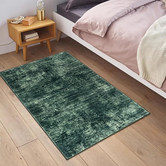 IOHOUZE Small Abstract Area Rug 2x3 Ft Entryway Rugs Washable Door Mat Indoor - Image 2