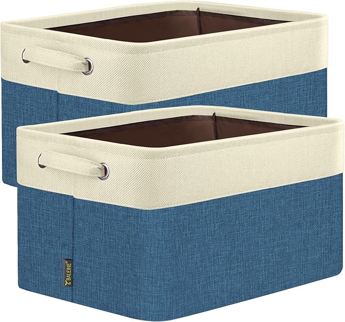 BALEINE 2 Pack Fabric Closet Storage Bins by BALEINE