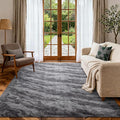 Area Rugs for Living Room, Tie-Dyed 5x7 Feet Soft Fluffy Shagg Plush Rug High by Cuzwlovita