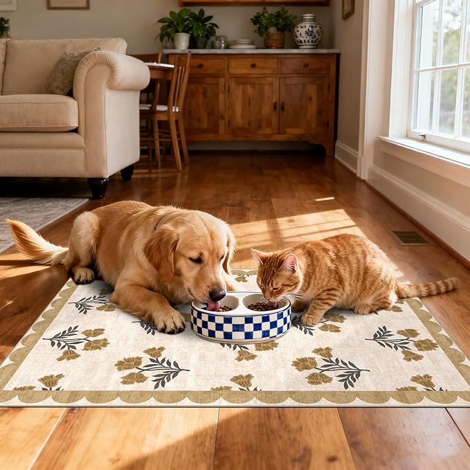Front Door Mat Outside Entrance - Image 6