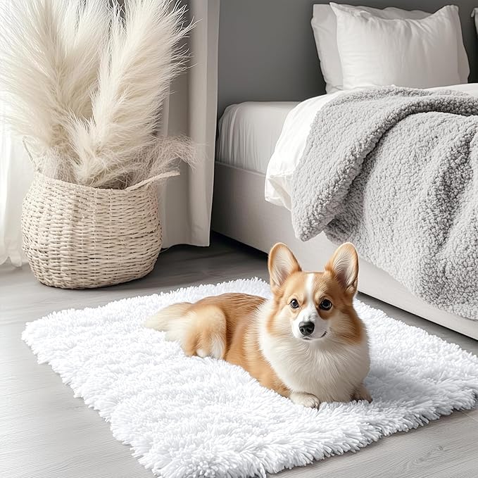 OLANLY 2x3 Machine Washable Small Bedside Rug, Soft Fluffy Shaggy Entryway by OLANLY