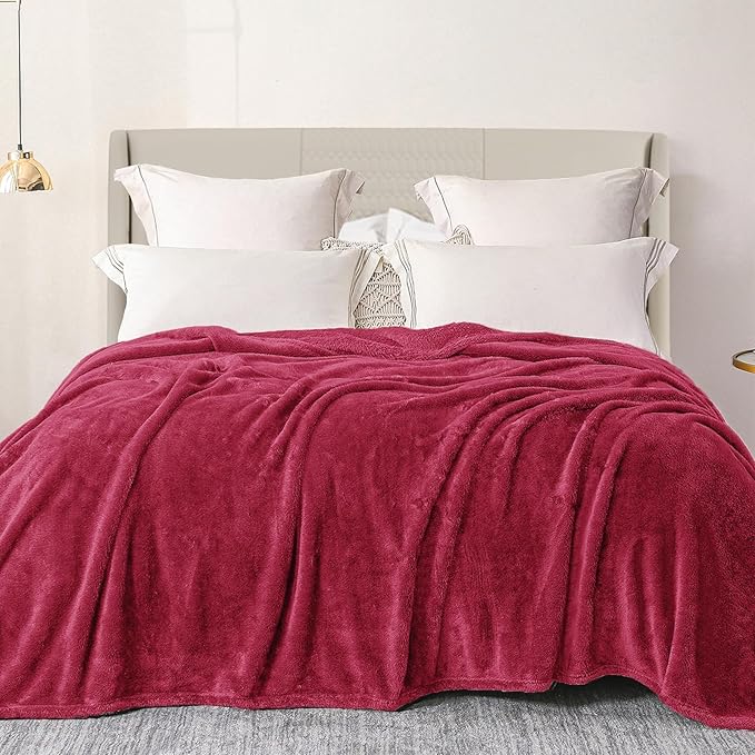 Exclusivo Mezcla Plush Fuzzy Fleece Bed Blanket Queen Size, Super Soft by ExclusivoMezcla