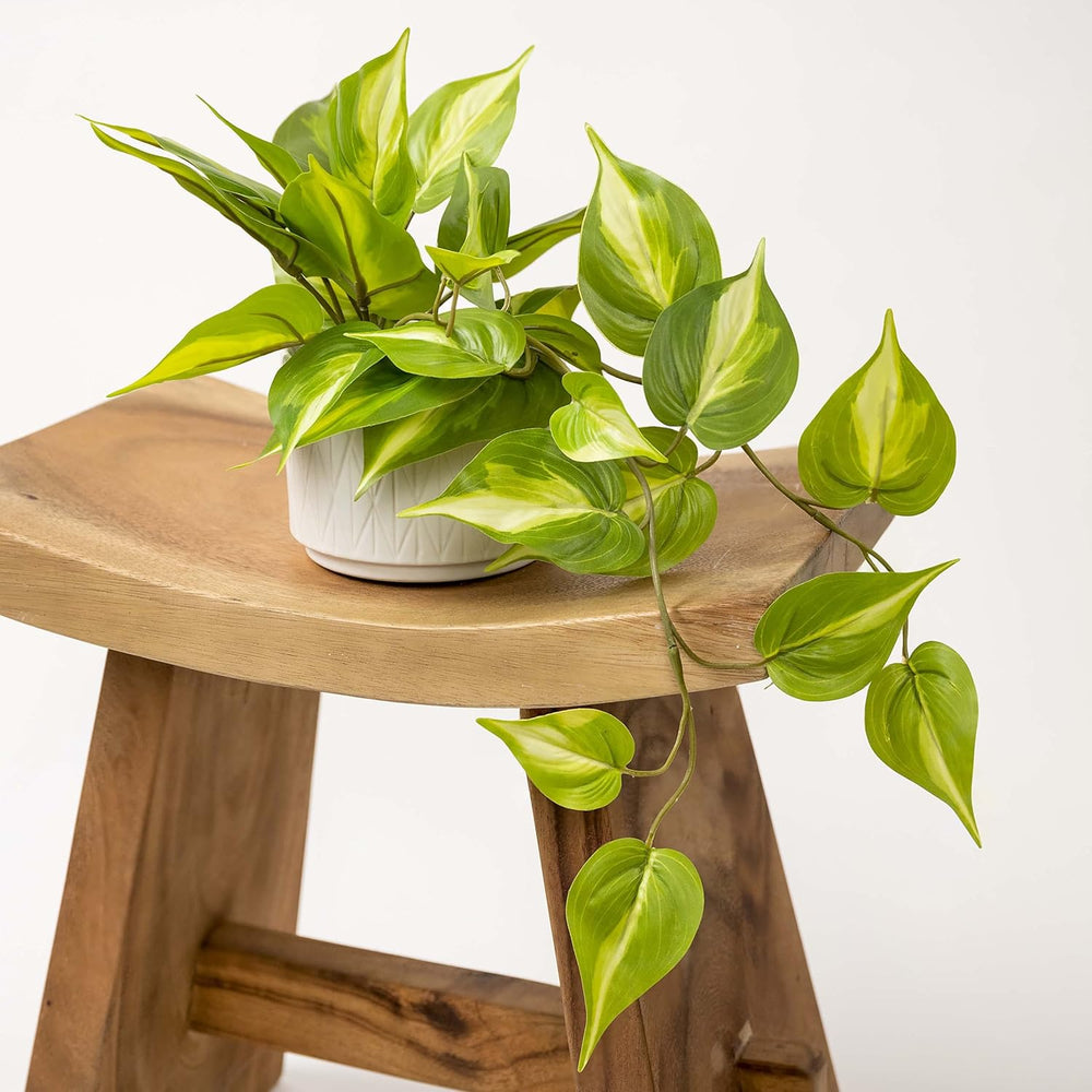 Kurrajong Farmhouse Light Green Fake pothos Plant | Fake Plant for Shelf Deco...