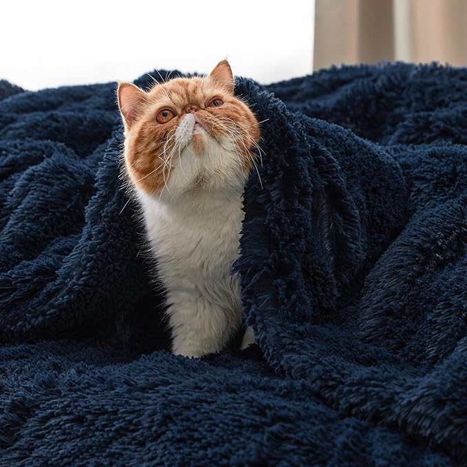 Bedsure GentleSoft Fuzzy Faux Fur Twin Blanket, Soft Sherpa Fleece Plush Warm - Image 5