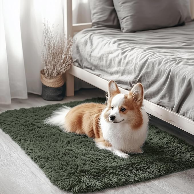 OLANLY 2x3 Machine Washable Small Bedside Rug, Soft Fluffy Shaggy Entryway by OLANLY