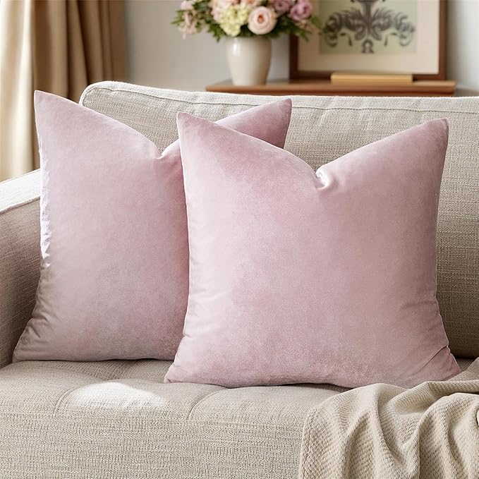 GIGIZAZA Decor Throw Couch Pillow Covers, Set o 2 Sweet Lilac Sofa Cushion by GIGIZAZAFocusingonhomedecoration