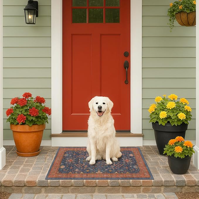 Hazo Haus Washable 2x3 Entry Rug Front Door Indoor, Farmhouse Small Area Rugs - Image 9