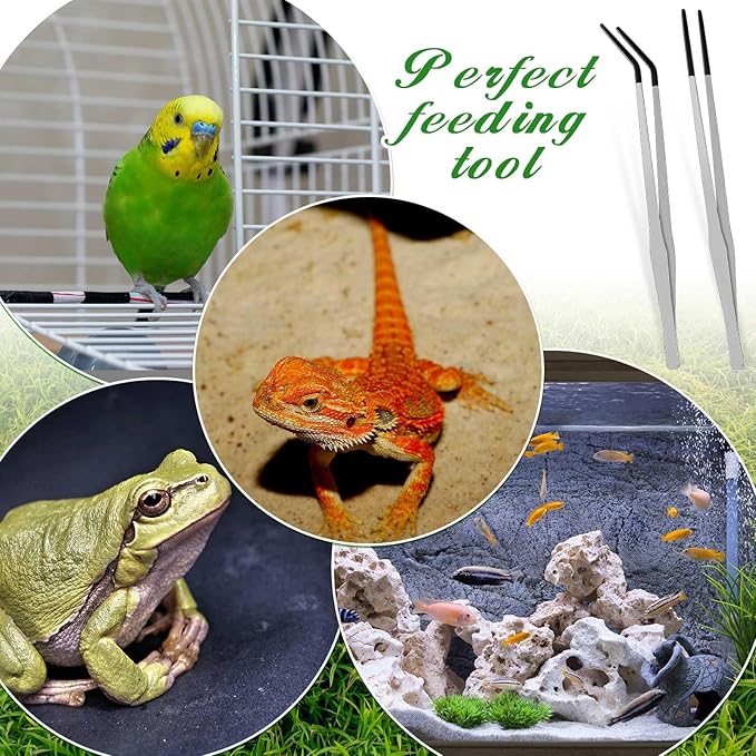 Lasnten 2 Pcs Extra Long Stainless Steel Reptile Feeding Tongs - Image 7