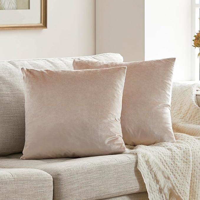 GIGIZAZA 24x24 Beige Pillow Covers: Pack of 2 Champagne Vintage Throw Pillows - Image 9