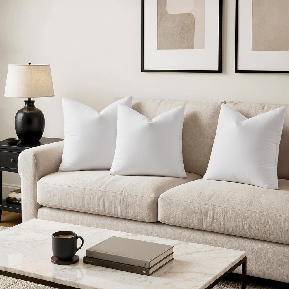 MIULEE 22x22 Pillow Inserts, Set of 2 Feather Down Throw Pillows