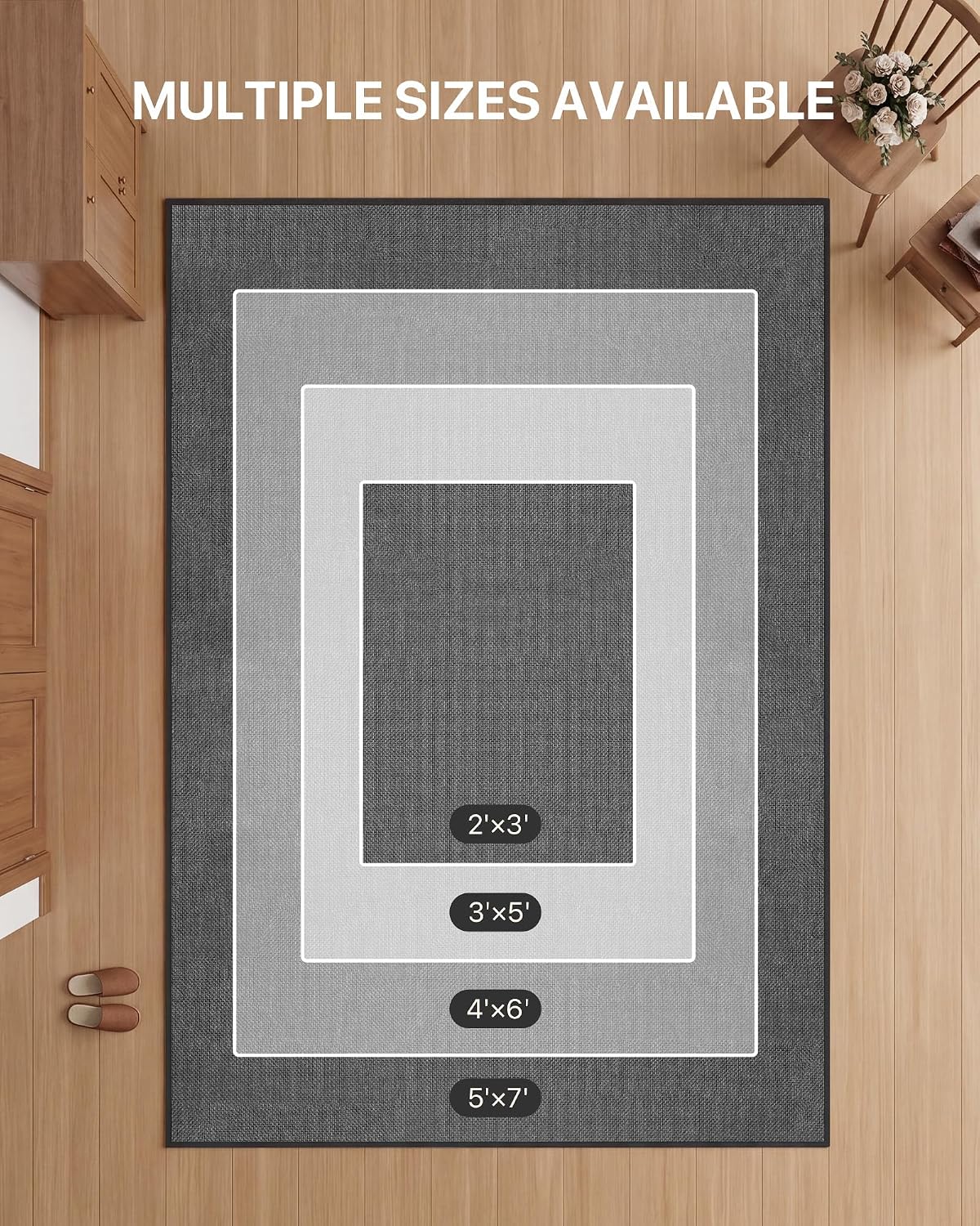 Door Mat Indoor Entrance, 24" x 36" Ultra Thin Non Slip Door Mat with Rubber Backing, Low Profile Easy Clean Dirt Trapper Doormat for Entryway Front Door Patio Porch, Charcoal Grey