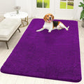 OLANLY Dog Door Mat for Muddy Paws 59x35, Absorbs Moisture and Dirt, Absorbent by OLANLY