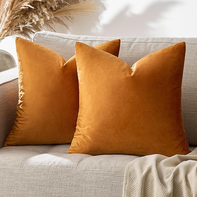 GIGIZAZA Decorative Couch Throw Pillow Covers, Pillow Cases Velvet Pillow Covers - Image 6