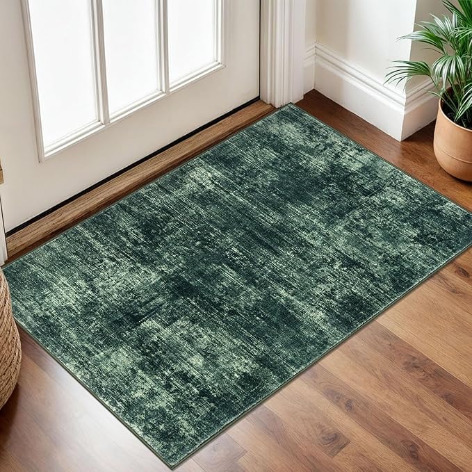 IOHOUZE Small Abstract Area Rug 2x3 Ft Entryway Rugs Washable Door Mat Indoor by iOhouze