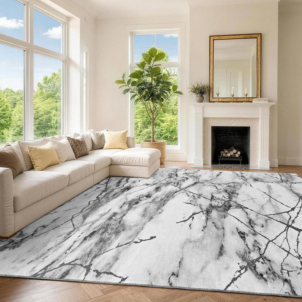 6x9 Washable Non-Slip Area Rug for Living Room (Silver Gray)
