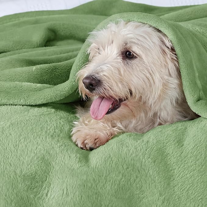 Bedsure GentleSoft Green Throw Blanket - Image 3