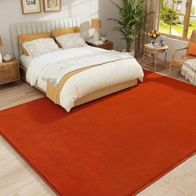 Amearea Modern Area Rugs for Bedroom Living Room, 4x6 Feet Orange Thickened - Image 6