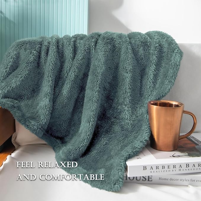 Exclusivo Mezcla Plush Fuzzy Fleece Throw Blanket Extra Large, Super Soft - Image 4