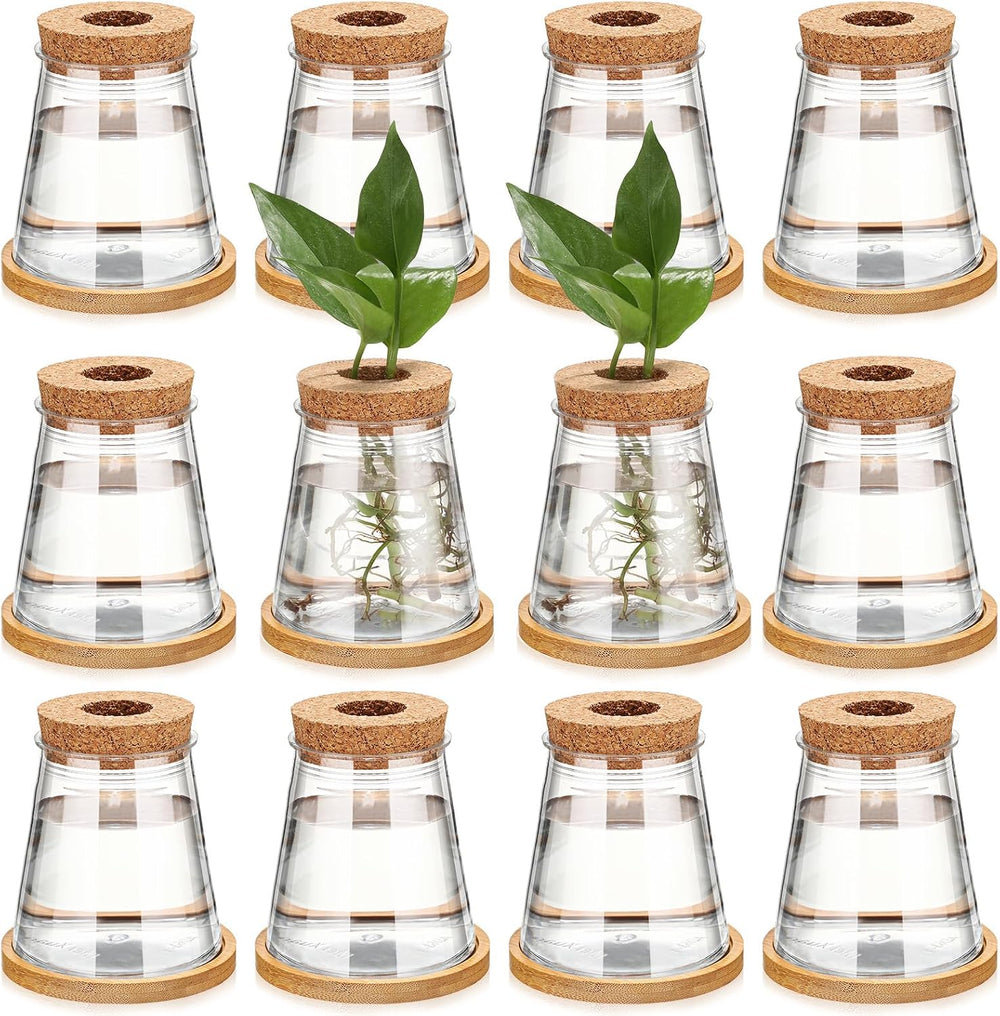Baderke 12 Pack Propagation Vases for Plants