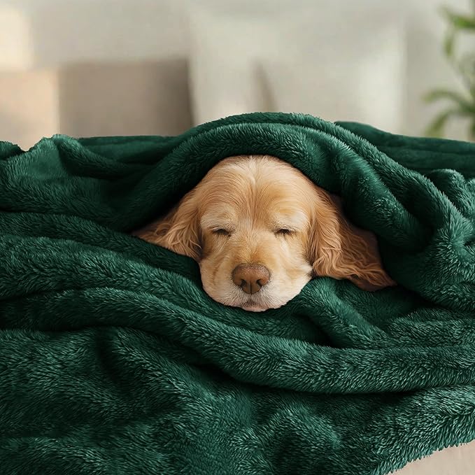 Exclusivo Mezcla Plush Fuzzy Fleece Bed Blanket Twin Size, Super Soft, Fluffy - Image 3