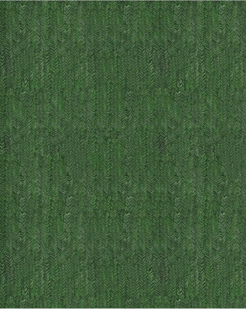 Eleisa 5x7 Area Rug, 5x7 Rectangular Farmhouse Home Decor Carpet, Green
