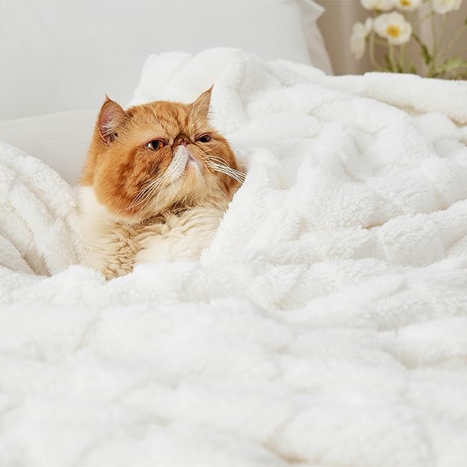 Bedsure GentleSoft Full Size Blankets - Image 7