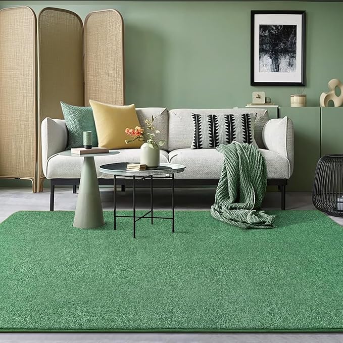 AROGAN Washable 5×7 Living Room Rug, Modern Area Rugs - Image 7
