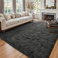 6x9 Ft Large Shag Rugs for Living Room Decor, Ultra Soft Fluffy Furry Area Rugs by Cuzwlovita