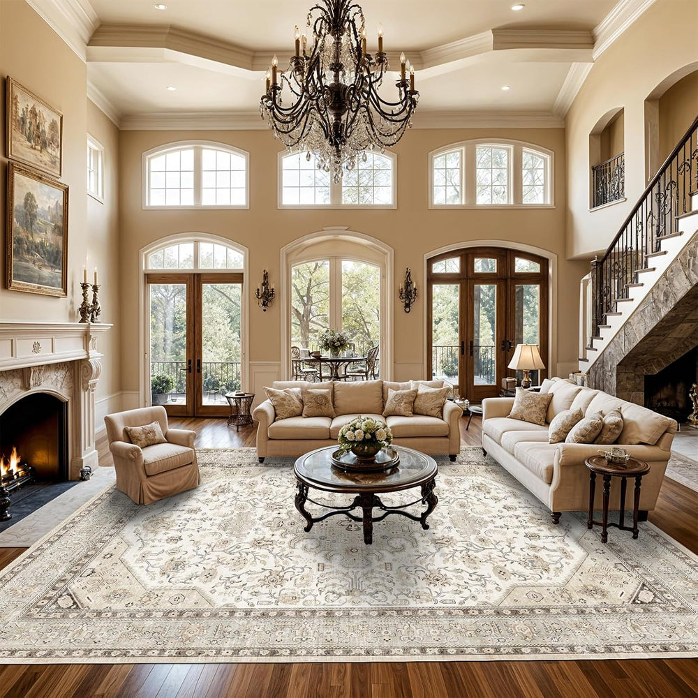 Living Room Area Rugs 10x14: Extra Large Carpet Soft Distressed Oriental