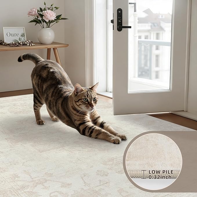6x9 Area Rugs for Living Room: Vintage Boho Neutral Washable Rug Indoor Soft - Image 7