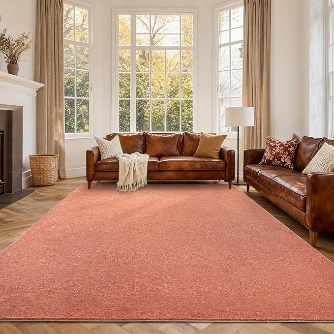 FinRèc 6x9 Washable Area Rugs for Bedroom Living Room, Low Pile Thin Rug Solid by FinRe%CC%80cHome