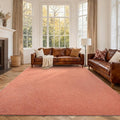 FinRèc 6x9 Washable Area Rugs for Bedroom Living Room, Low Pile Thin Rug Solid by FinRe%CC%80cHome