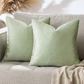 GIGIZAZA Throw Pillow Covers 22x22 Inch Sage Green Velvet Pillows Decorative by GIGIZAZAFocusingonhomedecoration