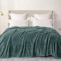 Exclusivo Mezcla Plush Fuzzy Fleece Bed Blanket Queen Size, Super Soft by ExclusivoMezcla