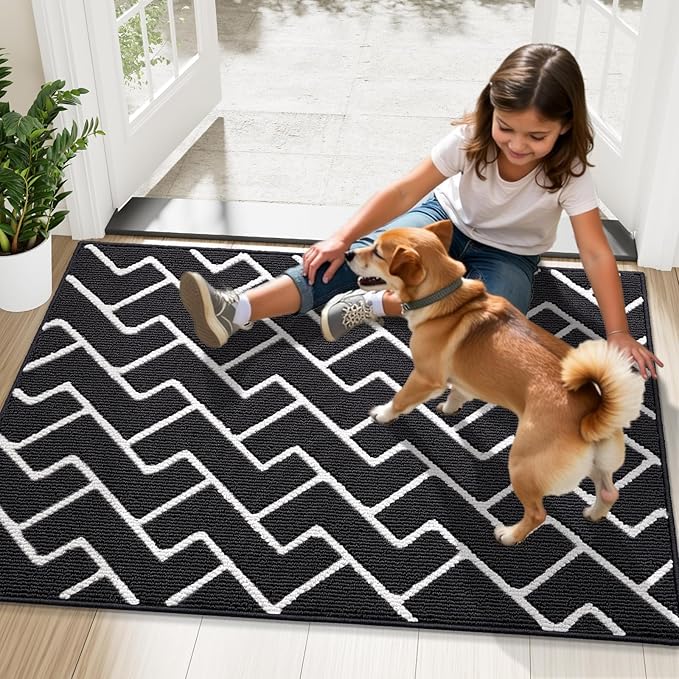 OLANLY Front Door Mat, Non-Slip Rubber Backing, Dirt Resistant and Absorbent - Image 8