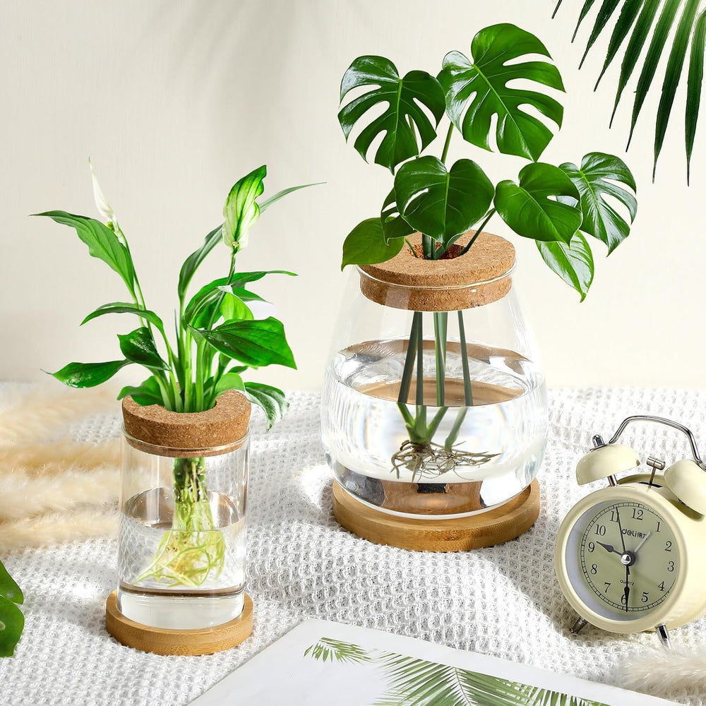 6 Pcs Plants Propagation Station Planter Terrariums Wooden Lid Bamboo Stand