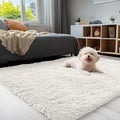 OLANLY 3x5 Machine Washable Small Bedside Rug, Soft Fluffy Shaggy Rugs by OLANLY